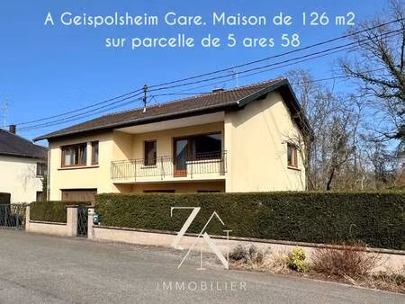 zn immobilier