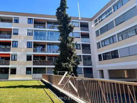 zn immobilier