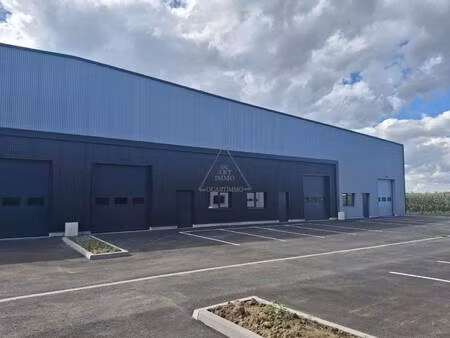 ouartimmo