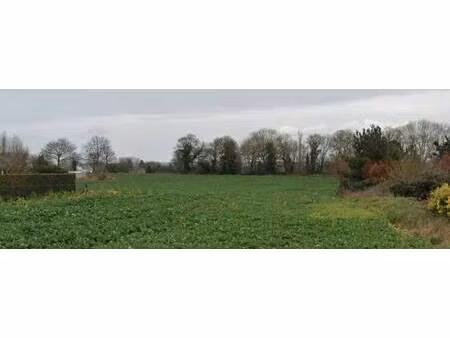 trecobois dinan