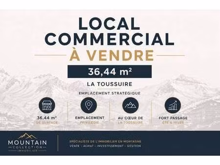 mountain collection immobilier