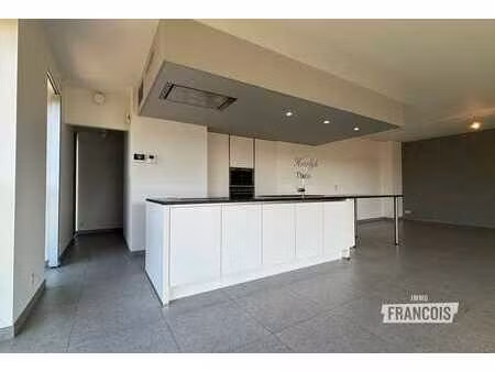 spacieux appartement avec 3 chambres et terrasse à zottegem