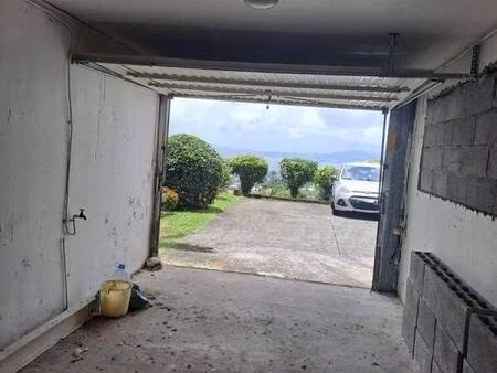caribbean standard immobilier
