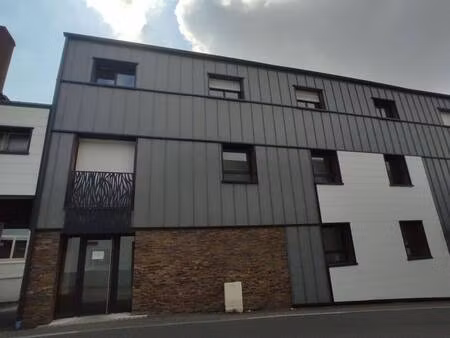 griffon choloux immobilier
