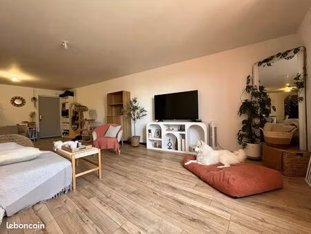 appartement 3 pièces 80 m²