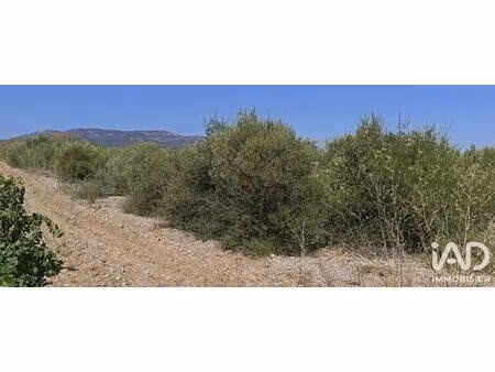 terrain à vendre