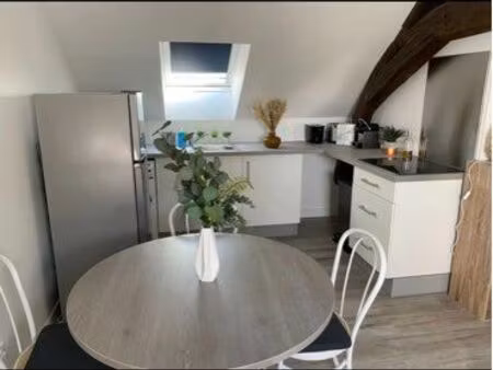 f3 meublé plein de charme – 2 chambres – disponible dès le 15 août – la chapelle-saint-mes