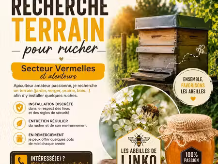 pour ruches recherche terrain  bois