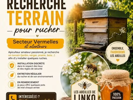 recherche terrain  bois