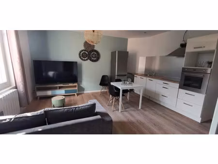 location meublée appartement 2 pièces 53 m² à saint-etienne (42000)  530 €