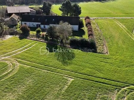 gregory tarreau bsk immobilier