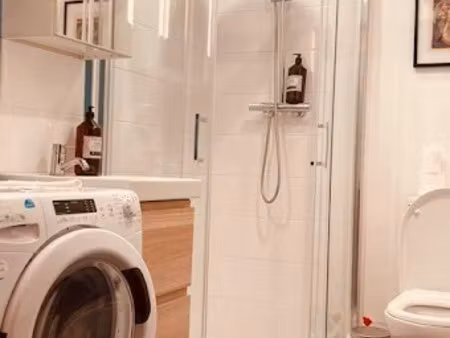 location meublée appartement 1 pièce 21 m² à nancy (54000)  590 €