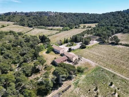 vignoble à vendre