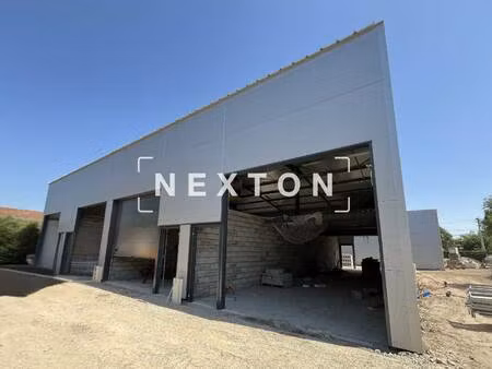 nexton immobilier