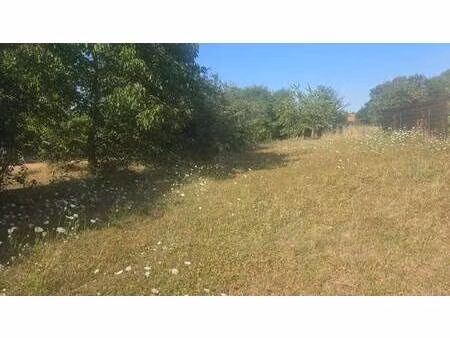 terrain constructible à vendre