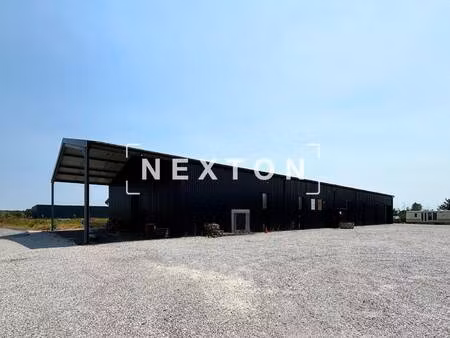 nexton immobilier
