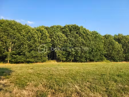terrain à vendre