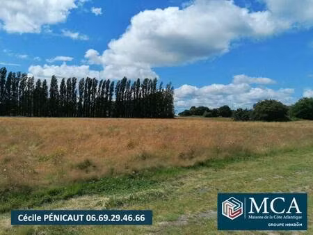 terrain constructible viabilisé à vendre