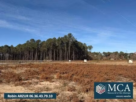 terrain constructible viabilisé à vendre