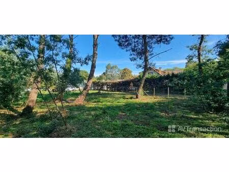 terrain constructible viabilisé à vendre