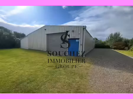 souchez immobilier