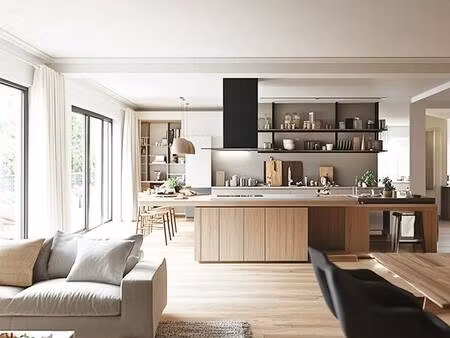 dira immobilier