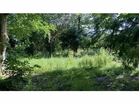 terrain constructible à vendre
