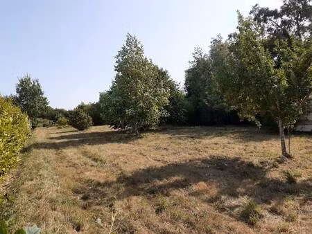 terrain constructible à vendre