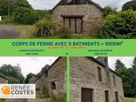 maison en viager