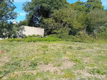 terrain constructible viabilisé à vendre