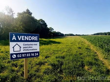 terrain constructible viabilisé à vendre
