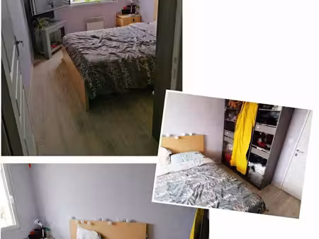 appartement à louer - logement étudiant