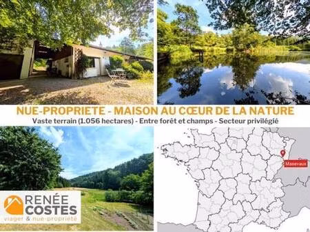 vente en nue propriété - h62 ans - masevaux (68290)