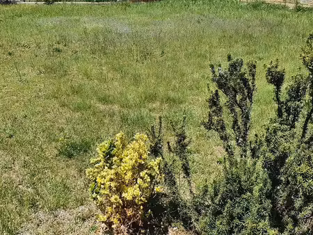 terrain constructible à vendre