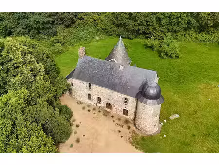 vente maison 8 pièces 170 m² à gorron (53120)  455 000 €