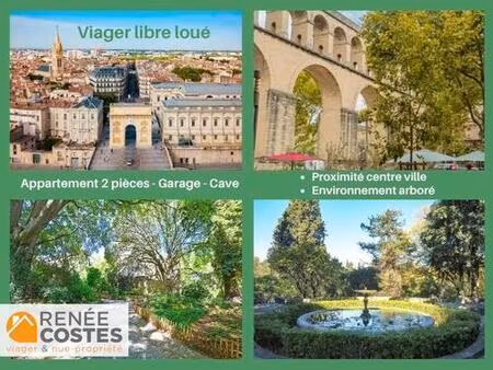 viager libre - f81 ans - montpellier (34070)