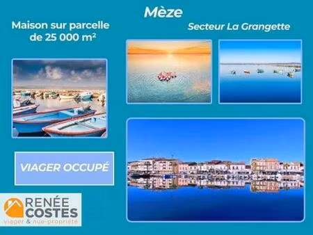 viager occupé - h78 ans - meze (34140)