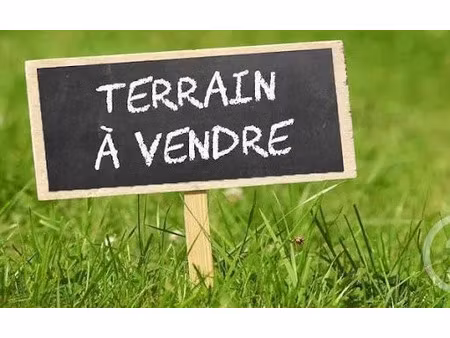 vente terrain 4968 m² sainte-foy (85150)