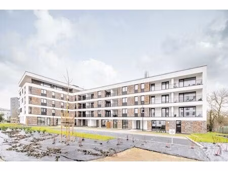 appartement à louer à rue julie dessy 5 jambes (vbe52848)