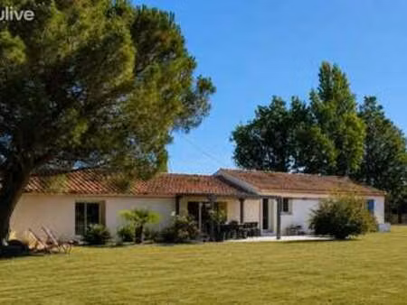 vente maison à saint-gervais (85230) : à vendre / 135m² saint-gervais