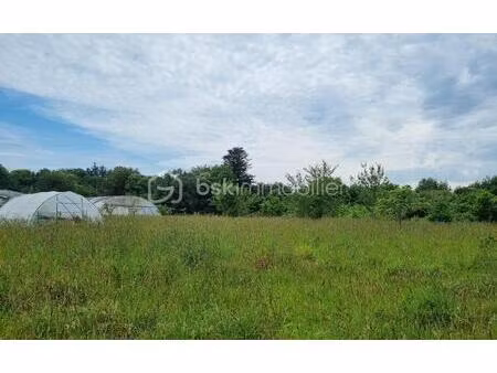 terrain agricole de 13 820 m² à scaer