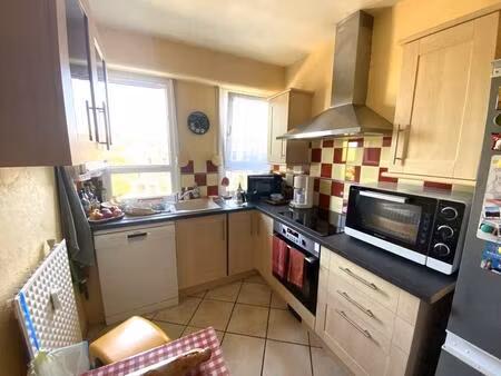 pour investisseurs  appartement loué place de lancrel