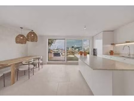 duplex totalement renove 3 chambres + 2 terasses !!