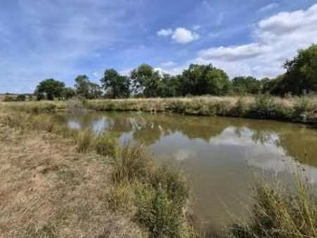 vente terrain à givrand (85800) : à vendre / givrand