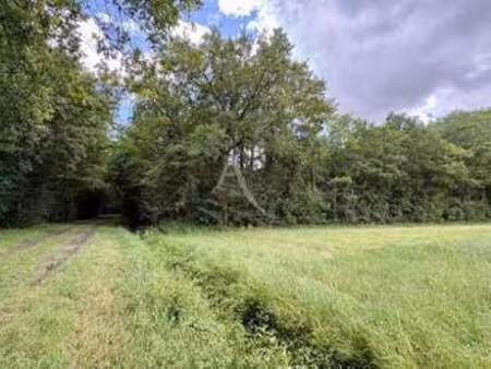 vente terrain au plessis-grammoire (49124) : à vendre / le plessis-grammoire