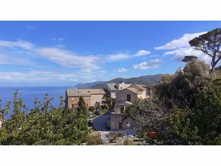cap corse pino terrain à bâtir avec vue mer et avant-proje