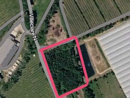 terrain agricole arboré