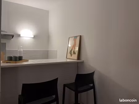 studio 20m2 meublé  refait a neuf en 2024