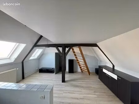 duplex 1 pièce 18 m²