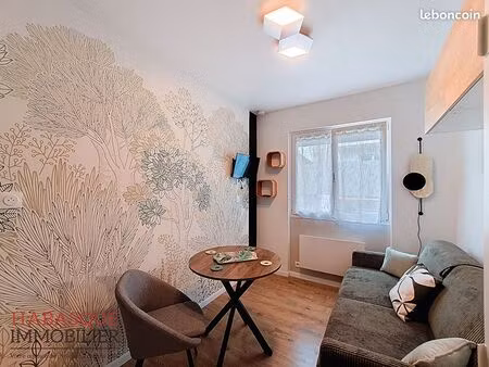 appartement 1 pièce 15 m²